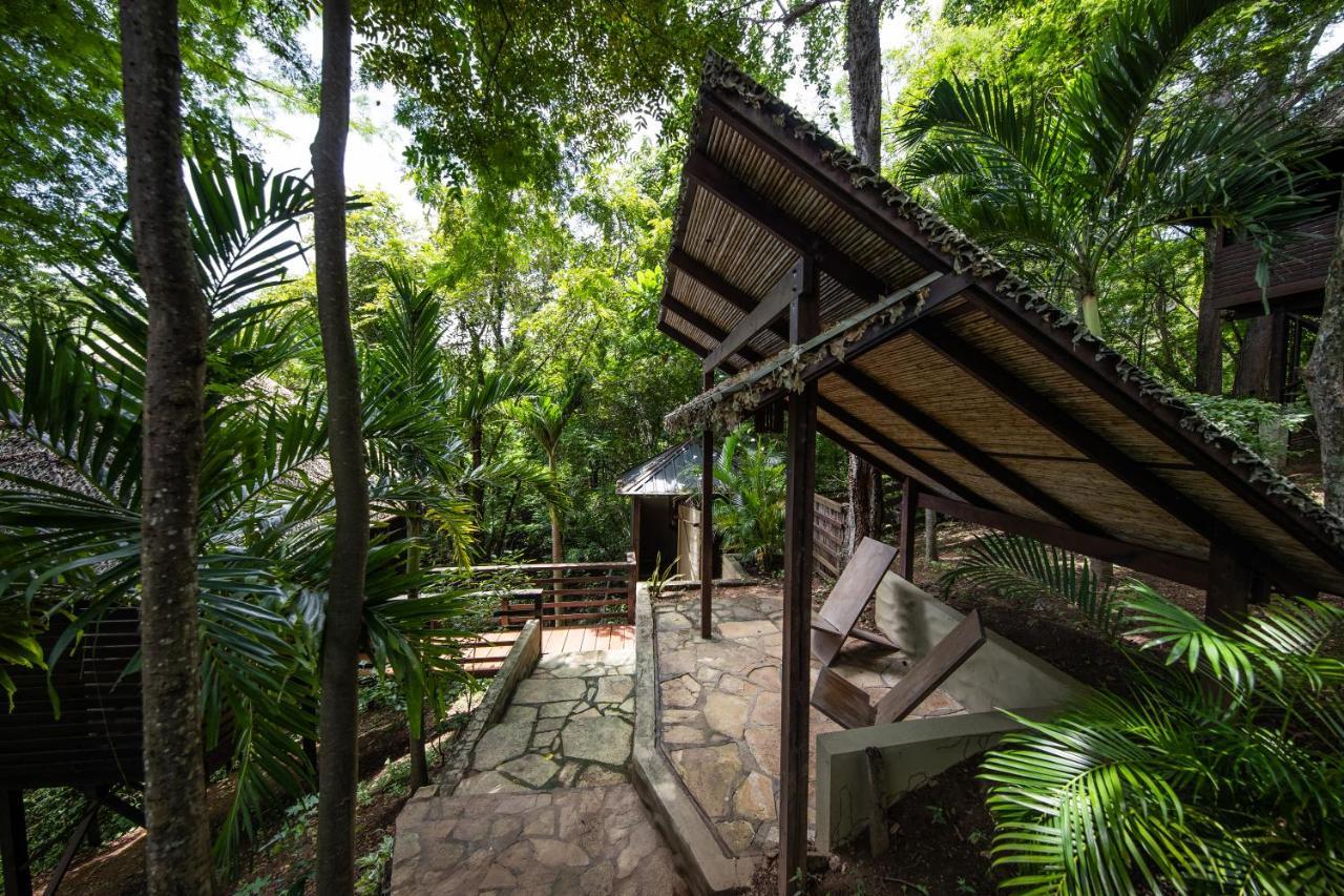 Buena Vista Surf Club Hotel El Plantel Kültér fotó