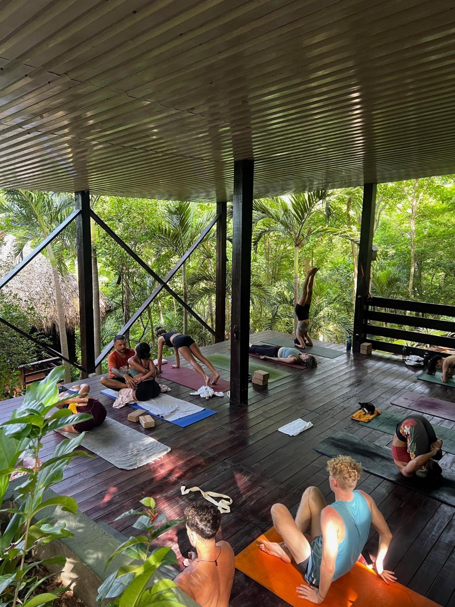 Buena Vista Surf Club Hotel El Plantel Kültér fotó